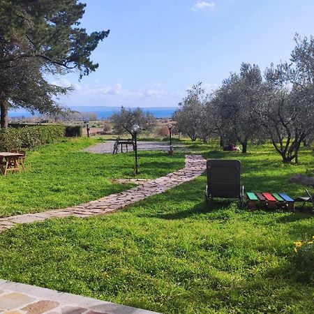 Agriturismo La Villetta San Lorenzo Nuovo Eksteriør billede
