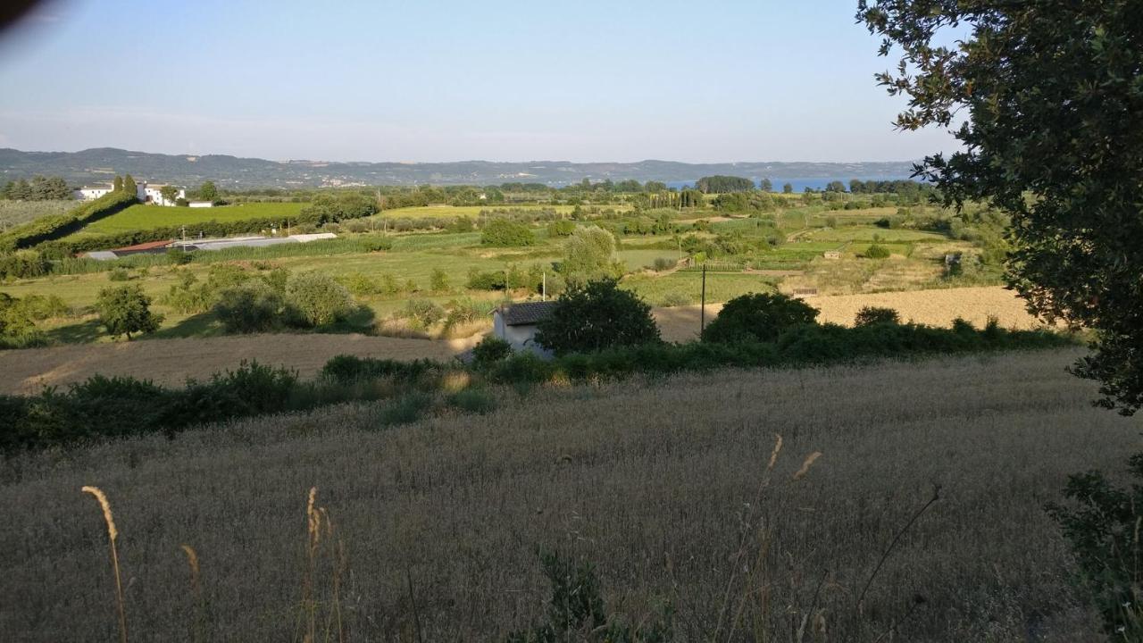Agriturismo La Villetta San Lorenzo Nuovo Eksteriør billede