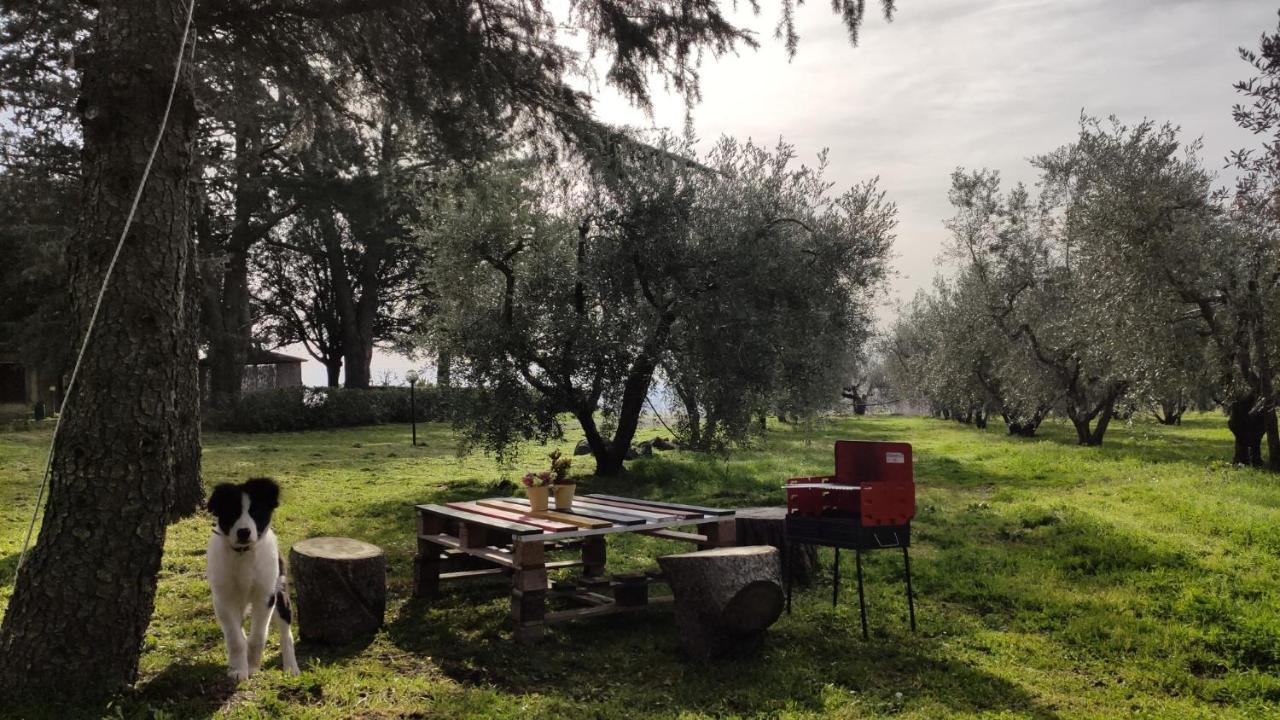 Agriturismo La Villetta San Lorenzo Nuovo Eksteriør billede