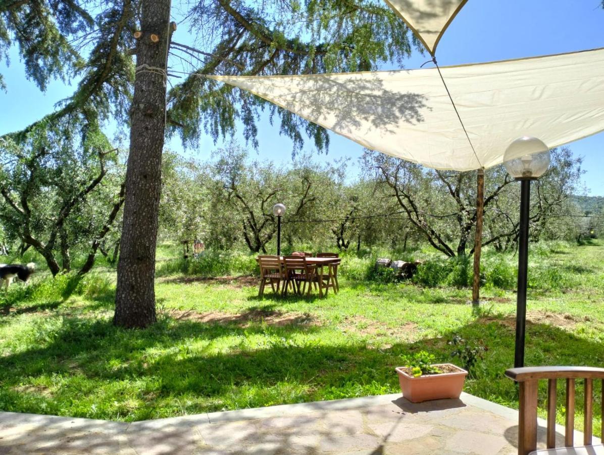 Agriturismo La Villetta San Lorenzo Nuovo Eksteriør billede