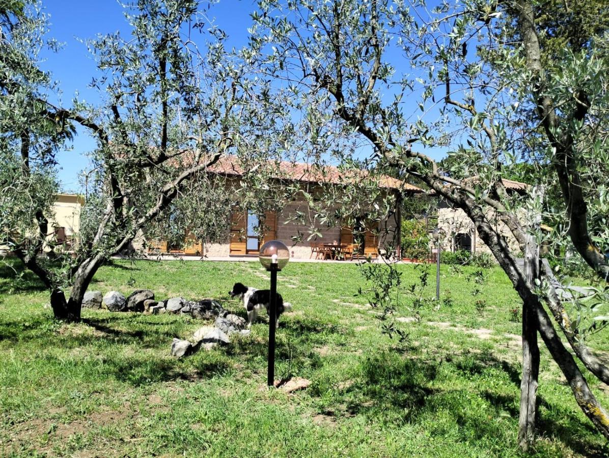 Agriturismo La Villetta San Lorenzo Nuovo Eksteriør billede