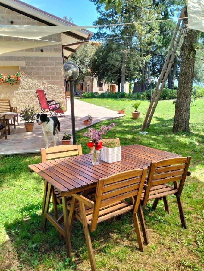 Agriturismo La Villetta San Lorenzo Nuovo Eksteriør billede
